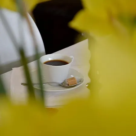 فندق مبيت وإفطار D'hote Au Domaine Terre De Chenes Saint-Paul-de-Baise