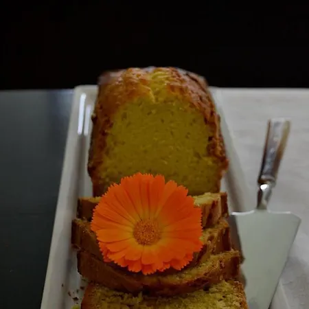 D'hote Au Domaine Terre De Chenes 3* Saint-Paul-de-Baise