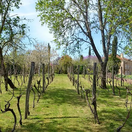 D'hote Au Domaine Terre De Chenes فندق مبيت وإفطار Saint-Paul-de-Baise