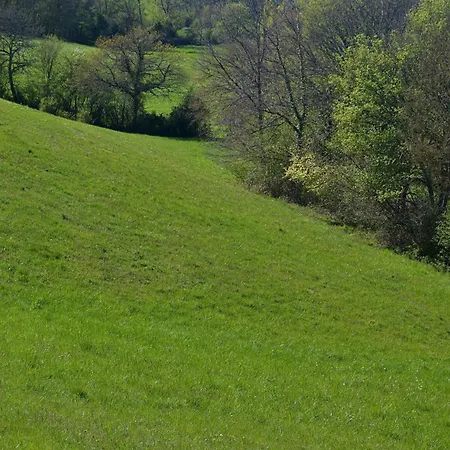 D'hote Au Domaine Terre De Chenes 3* Saint-Paul-de-Baise