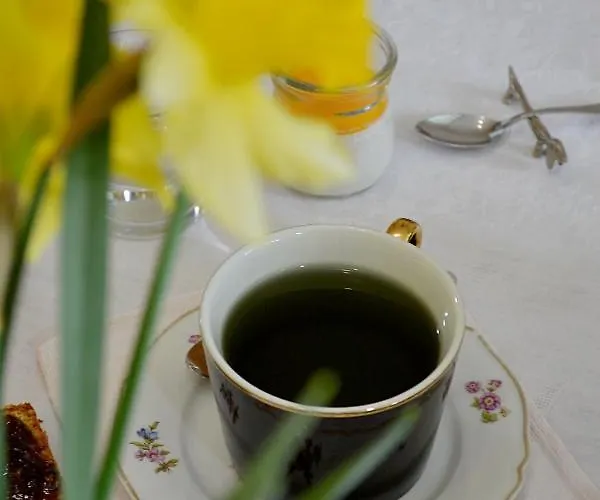 D'hote Au Domaine Terre De Chenes 3* Saint-Paul-de-Baise